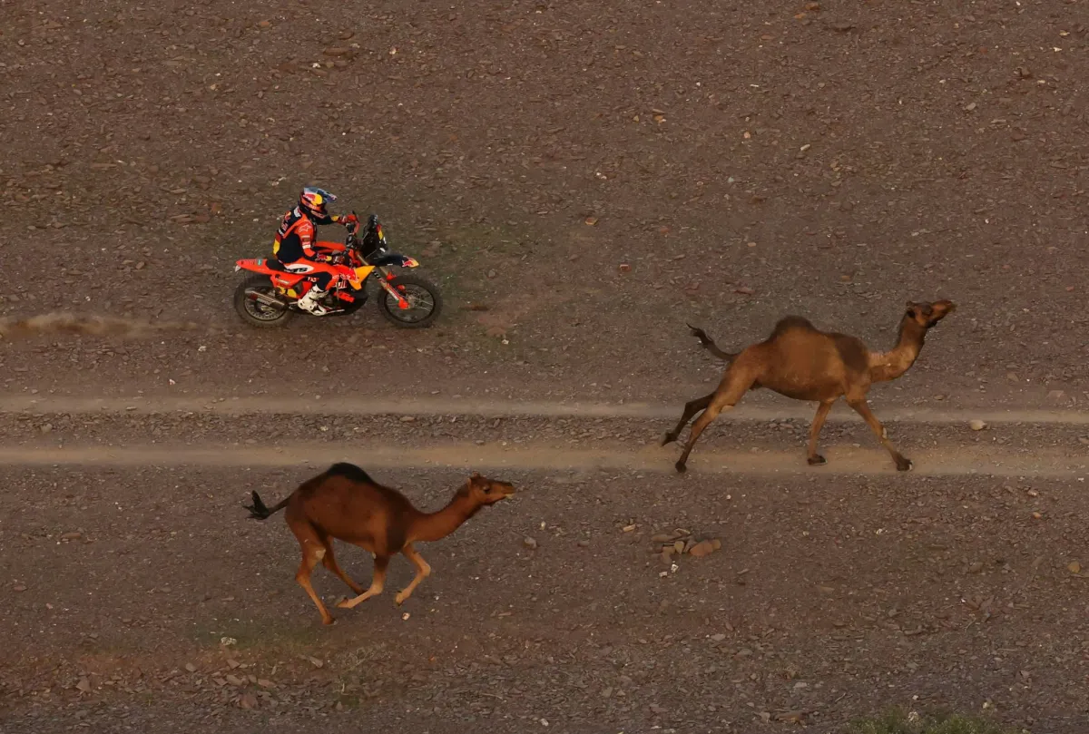 لاتيغان يتصدر منافسات «الرابعة» والعطية يطارده في السباق