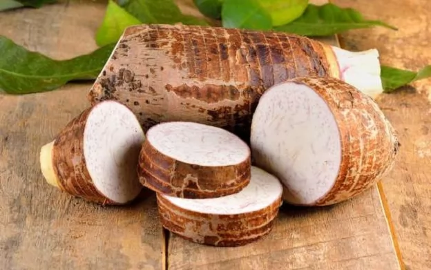 «تراث يروي أسراراً.. وحكاية تتجاوز الزمان!» القلقاس وعيد الغطاس: استكشاف العلاقة الخفية بين الرمزية الدينية العميقة والتراث الشعبي الأصيل