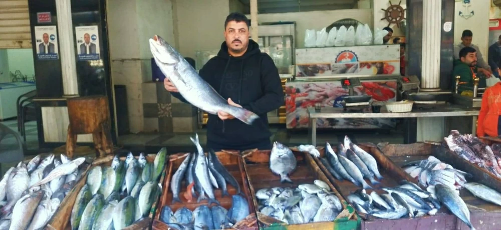 أسعار الأسماك في أسواق مطروح اليوم الجمعة 2 يناير 2026 وأبرزها البوري بـ160 جنيهًا