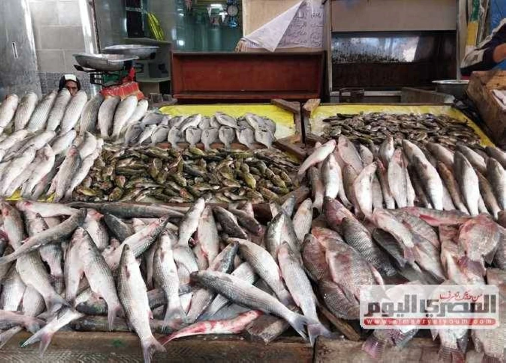 «أسعار الأسماك في سوق العبور اليوم: المرجان بـ200 جنيه»