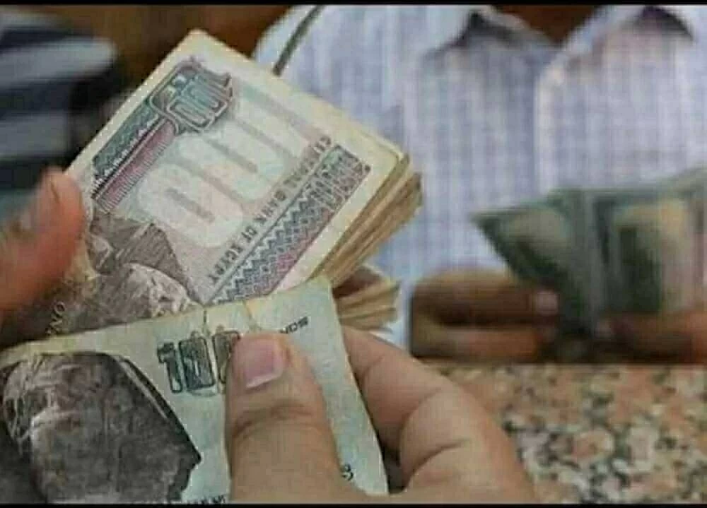 التأمينات الاجتماعية تعلن موعد صرف معاشات فبراير 2026 ورابط الاستعلام المباشر