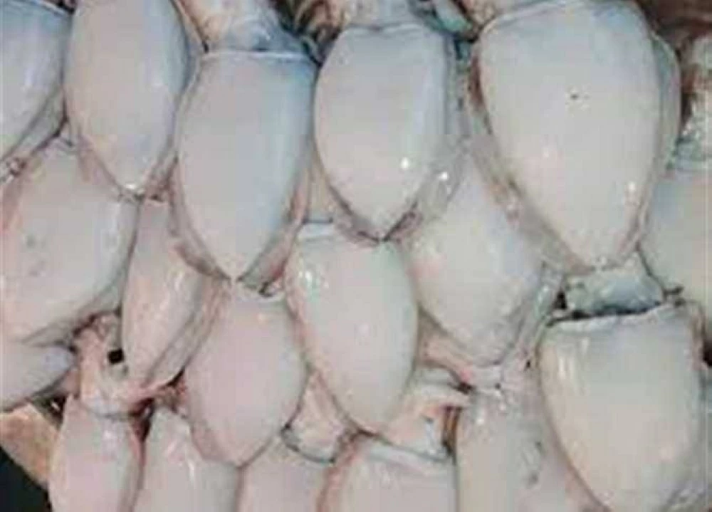 «أسعار السمك والمأكولات البحرية اليوم في أسواق الإسكندرية: السبيط يتصدر المشهد بـ300 جنيه»