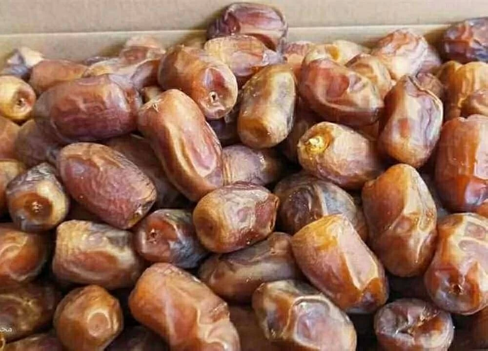 «تعرّف على أسعار البلح السيوى والتمور في مطروح قبل رمضان» بلح سيوى بـ 70 جنيهًا فقط