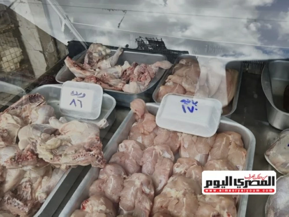 أسعار الدواجن التسمين والساسو في أسواق الإسكندرية يوم الأحد 25 يناير 2026 تصل إلى 73 جنيهًا