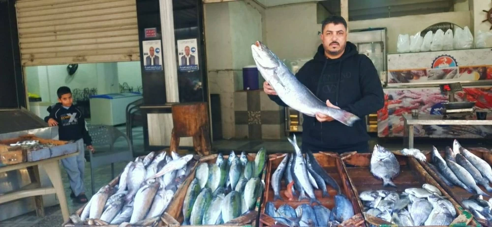 «أسعار السمك والمأكولات البحرية تتصدر عناوين الأسواق في مطروح»