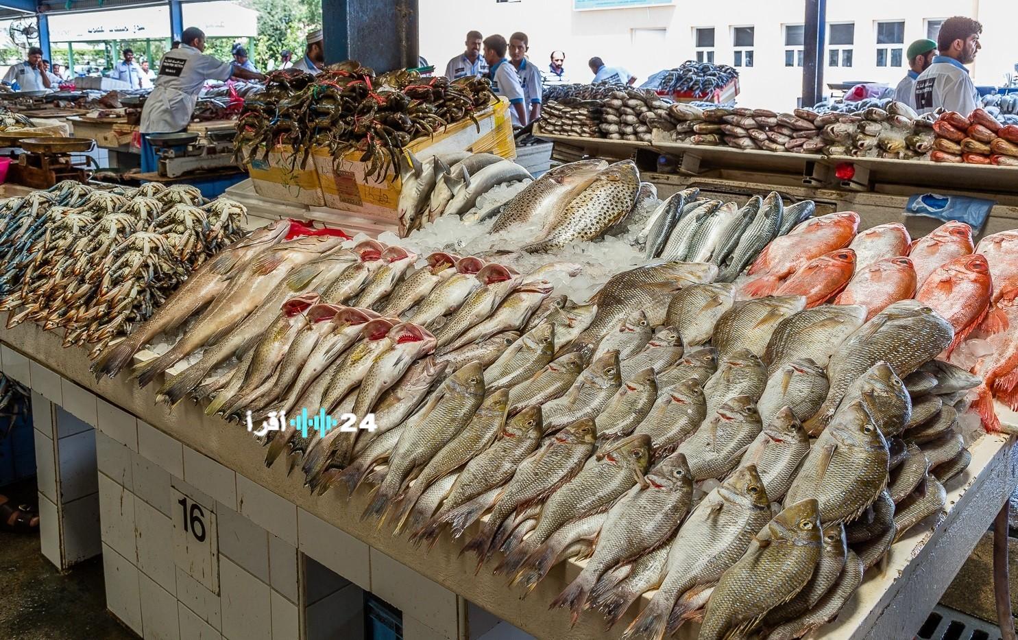 استقرار أسعار الأسماك اليوم الجمعة 23 يناير 2026 في مصر وسوق العبور