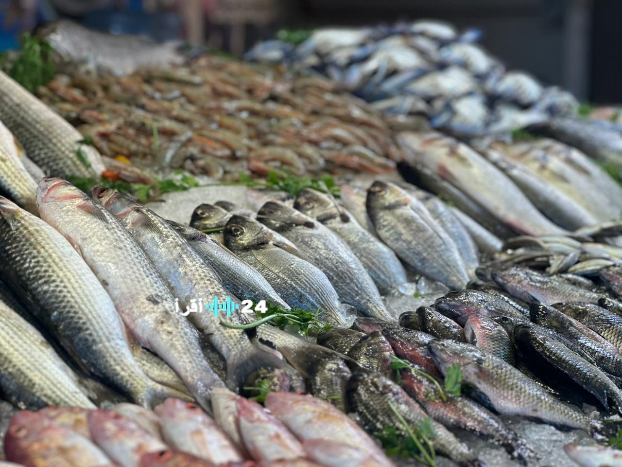 أسعار الأسماك والمأكولات البحرية في الأسواق اليوم السبت 3 يناير 2026