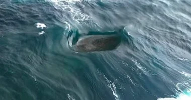 الموجة الغامضة تفجر جدلاً بالسوشيال ميديا طبيعية أم ذكاء اصطناعي