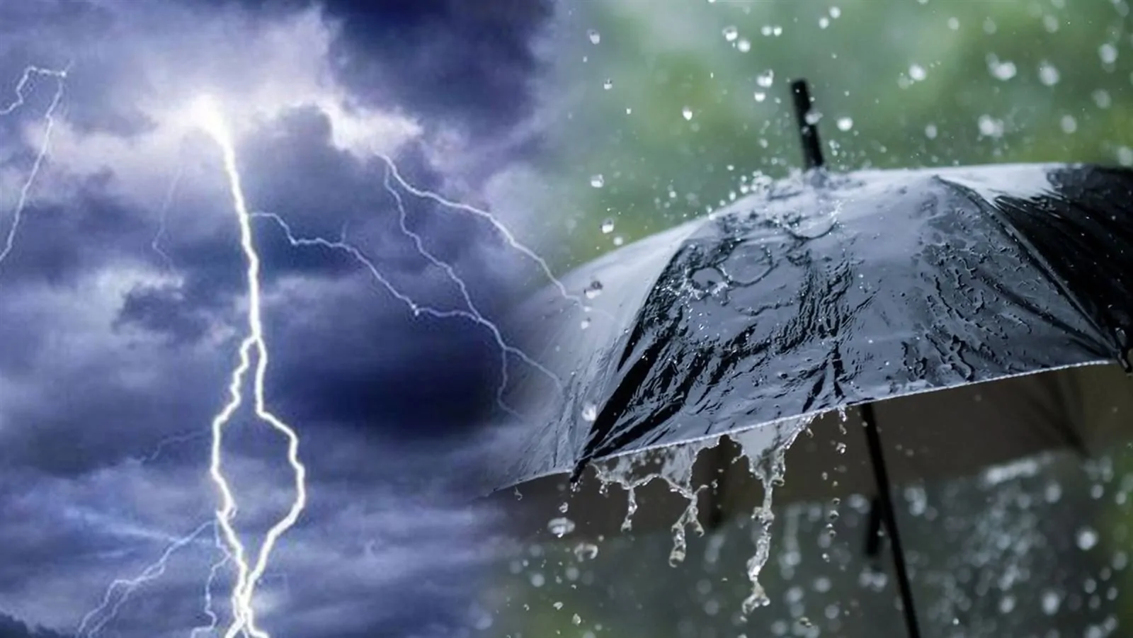 «مفاجأة سارة: الأرصاد الجوية تكشف عن توقعات إيجابية لحالة الطقس حتى منتصف الأسبوع المقبل»