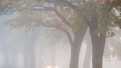 استمرار الضباب صباحاً وطقس بارد ليلاً في تحديثات حالة الطقس لليوم الجمعة 16 يناير 2026