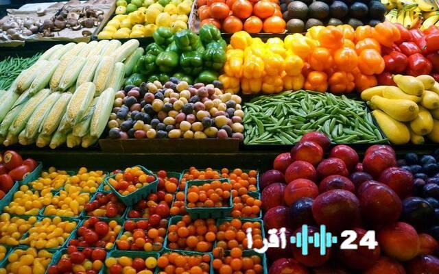 سلامة الغذاء المصرية تكشف عن تصدير 215 ألف طن مواد غذائية بحلول الأسبوع الثاني من 2026