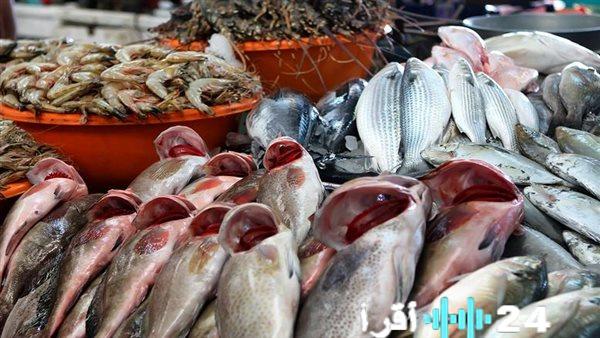 أسعار الأسماك المتداولة اليوم الثلاثاء 20 يناير في أسواق المنيا
