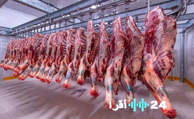 تراجع أسعار الدواجن واللحوم يضرب الأسواق المصرية اليوم الأحد