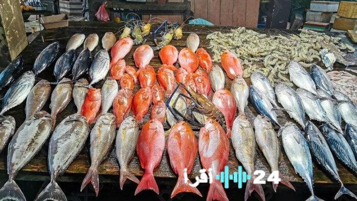 «أسعار الأسماك اليوم تعكس تخبط السوق في الثلاثاء 20 يناير 2026»