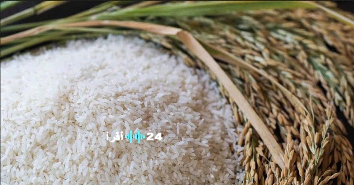 «السوق يشهد استقرارًا ملحوظًا» سعر الأرز IR 504 يصل إلى 9700 دونغ فيتنامي للكيلوغرام