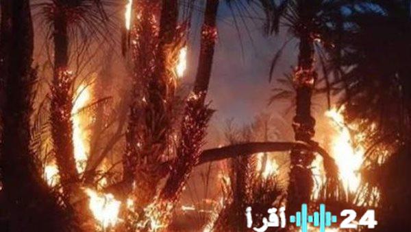 نيران ضخمة تلتهم مخلفات بكلية الزراعة جامعة القاهرة