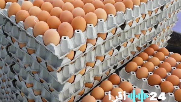 أسعار البيض في الأسواق اليوم الجمعة 23 يناير 2026