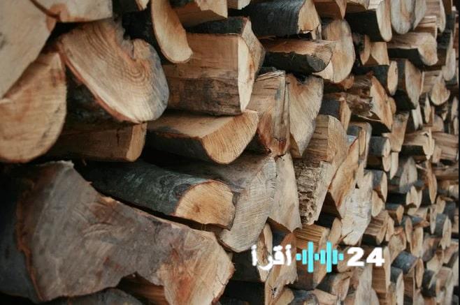 <p><strong>الأمن البيئي بالمدينة المنورة يضبط مواطنًا لنقله حطبًا محليًا مخالفًا</strong></p>