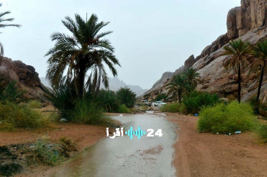 تحذير لحائل: أمطار غزيرة ورياح عاتية تجتاح المنطقة