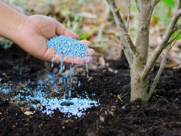 «مفترق طرق لسوق الأسمدة» الثلاثاء 27 يناير 2026: اليوريا العادي يهبط ونترات النشادر تقفز.. ماذا يعني ذلك للموسم الزراعي؟