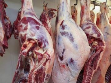 «انفراجة للمستهلكين.. تراجع أسعار اللحوم يعيد البسمة للجيوب»
الأسواق المصرية تشهد هبوطًا لافتًا في أسعار اللحوم اليوم الثلاثاء 27 يناير 2026.. الكندوز الصغير وحده صامدًا خارج دائرة الانخفاض