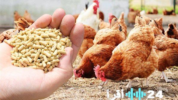 «أسعار الأعلاف تسجل تغييرات ملحوظة في أسواق أسوان المصرية الخميس 29 يناير 2026»