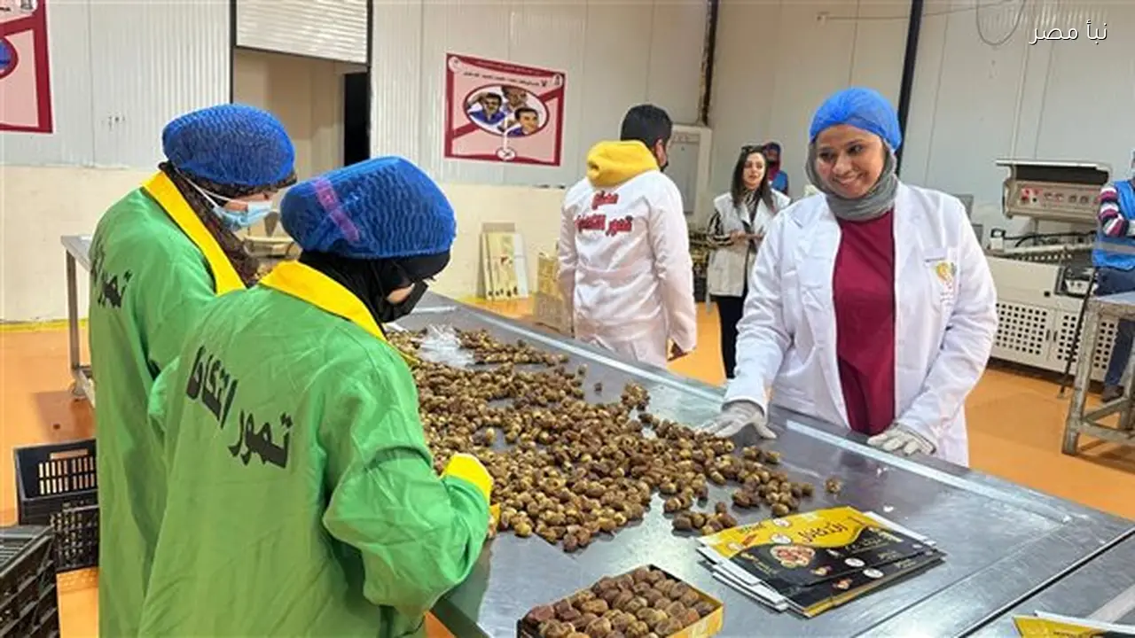 جولة في مصنع تمور التكافل بالوادي الجديد تستعرض جهود صناعة الأمل قبيل شهر رمضان