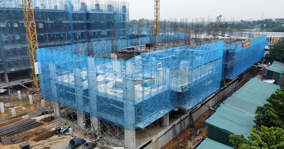 «ضمانات السكن الاجتماعي» توجيهات حكومية جديدة تدقق دخل المستقلين المؤهلين للحصول على مساكن اجتماعية