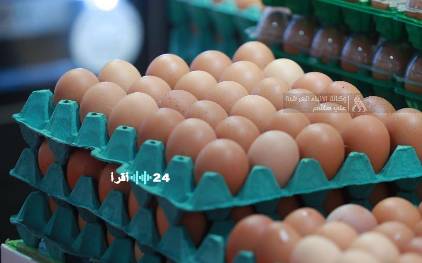 8 آلاف مشروع تساهم في تحقيق الاكتفاء الذاتي من البيض في العراق