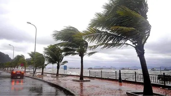 «لصحتك وسلامتك» الأرصاد الجوية تصدر تحذيرًا خاصًا لمرضى الحساسية والجهاز التنفسي بشأن طقس الثلاثاء: عواصف ترابية وأمطار مرتقبة