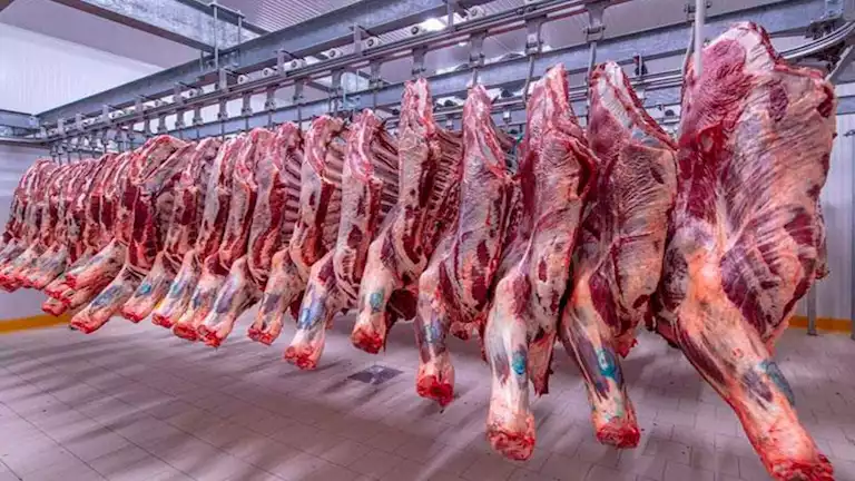 أسعار اللحوم والعدس والزيت تشهد زيادة ملحوظة في الأسواق بتاريخ 9 يناير 2026