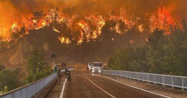 حرائق الغابات تطلق تلوثًا هوائيًا يفوق التقديرات بكثير