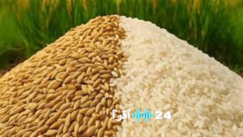 أسعار الأرز الشعير اليوم في الأسواق المحلية بالتزامن مع تحديثات الأسعار عند التجار في مصر الثلاثاء