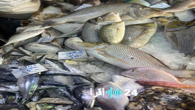 أسعار الأسماك في سوق العبور اليوم الجمعة 16 يناير 2026