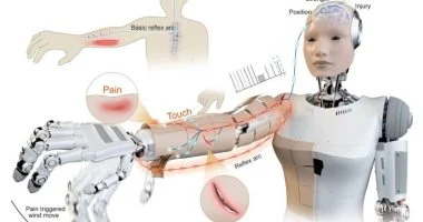 جلد آلي متطور يمكّن الروبوتات البشرية من استشعار الألم والتفاعل