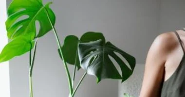 العناية بالنباتات مفتاحك لتقليل التوتر وزيادة التركيز