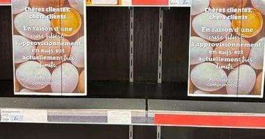 أزمة بيض في أوروبا تنذر بخطر ويستفحل الوضع في فرنسا وألمانيا وبولندا وهولندا مع تراجع القدرة الشرائية ومخاوف من أنفلونزا الطيور وارتفاع أسعار الطاقة وضغوط الزراعة