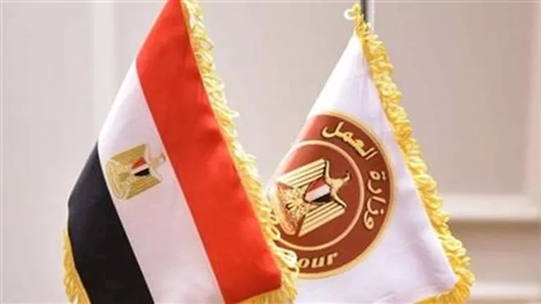 السعودية تعلن عن ربط رقمي مع دول عربية لتنظيم سوق العمل