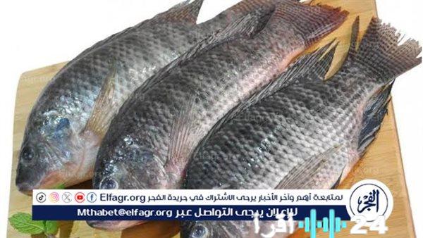 أسعار الأسماك في محافظة المنيا بتاريخ 27 يناير 2026