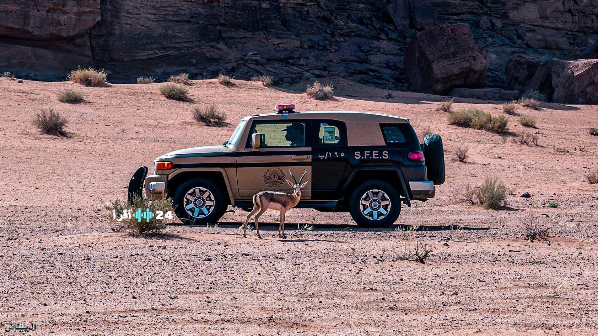 القبض على مواطن بتهمة إشعال النار في محمية طويق من قبل القوات الخاصة للأمن البيئي