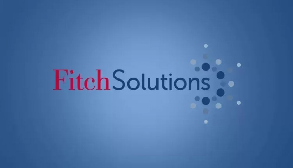 مصر تتصدر توقعات فيتش لاستقطاب استثمارات السيارات بالشرق الأوسط وشمال إفريقيا عام 2025