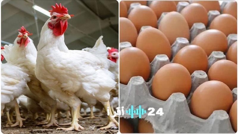 «ارتفاع ملحوظ في أسعار الدواجن والبيض مع تزايد الطلب قبيل رمضان والأعياد»