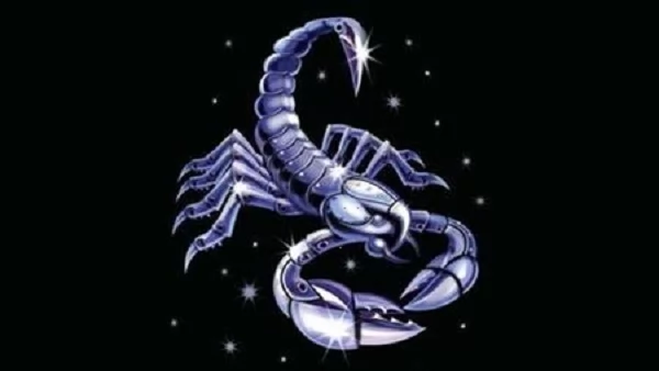 «نظرة الفلك» برج العقرب: قراءة شاملة لفرص وتحديات الأحد 25 يناير 2026