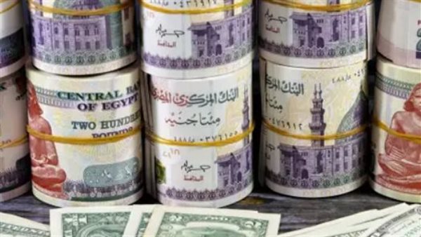 الدولار يقفز لـ 47 جنيهًا ما وراء الصعود وتوقعات الخبراء لمصير الجنيه في 2026