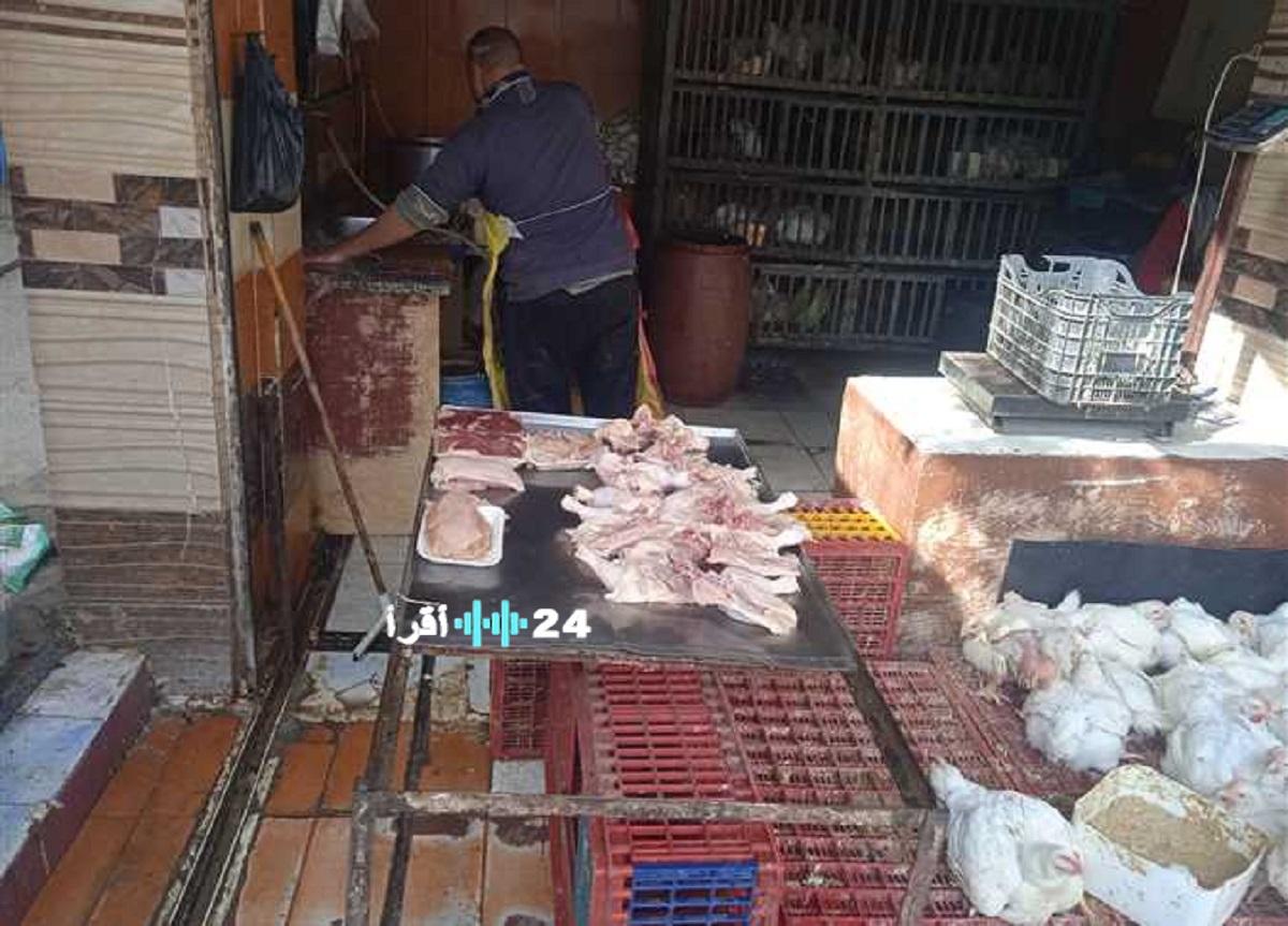 أسعار الدواجن اليوم 20 يناير 2026 وما يجب معرفته قبل الشراء