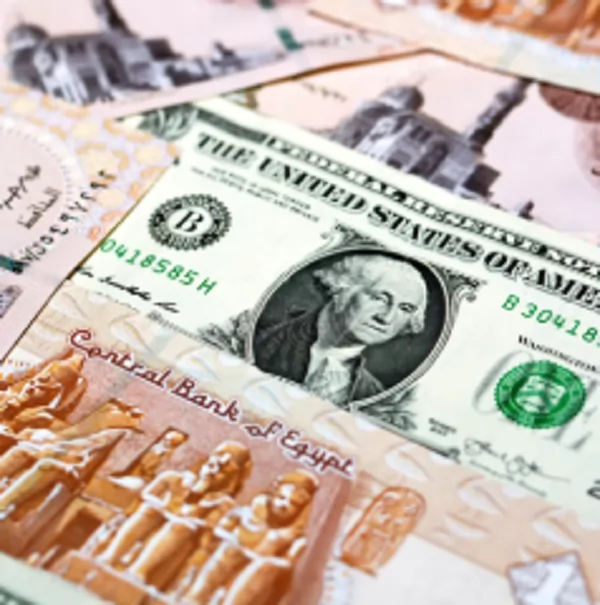 «استقرار سعر الدولار في البنوك المصرية اليوم الثلاثاء 27 يناير 2026»