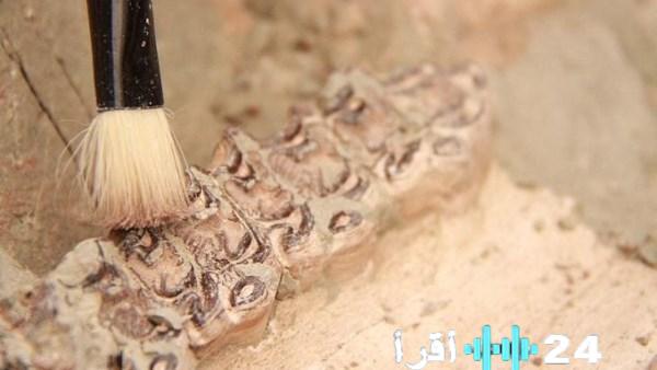 المغرب يكشف عن حفريات تعود إلى 773 ألف سنة وتعيد كتابة تاريخ الأرض