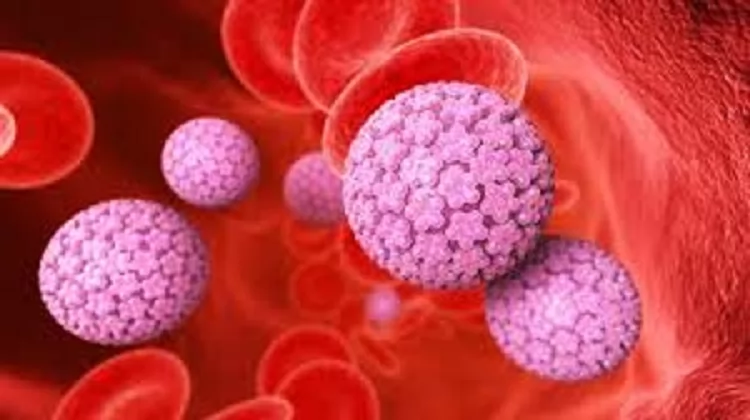 «الوعي درعك الأول. فيروس HPV: خطر صامت قد يقلب حياتك رأساً على عقب.»
فيروس HPV: كشف الأبعاد الخفية لتهديد صامت ينذر بالسرطان