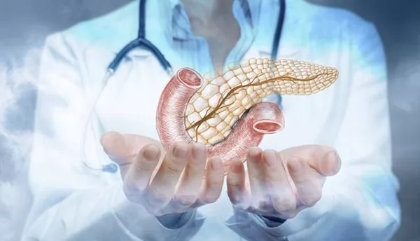 «ضوء في نهاية النفق: هل بدأ العد التنازلي لسرطان البنكرياس؟» طفرة علمية تفتح آفاقاً علاجية واعدة لمواجهة المرض الفتاك