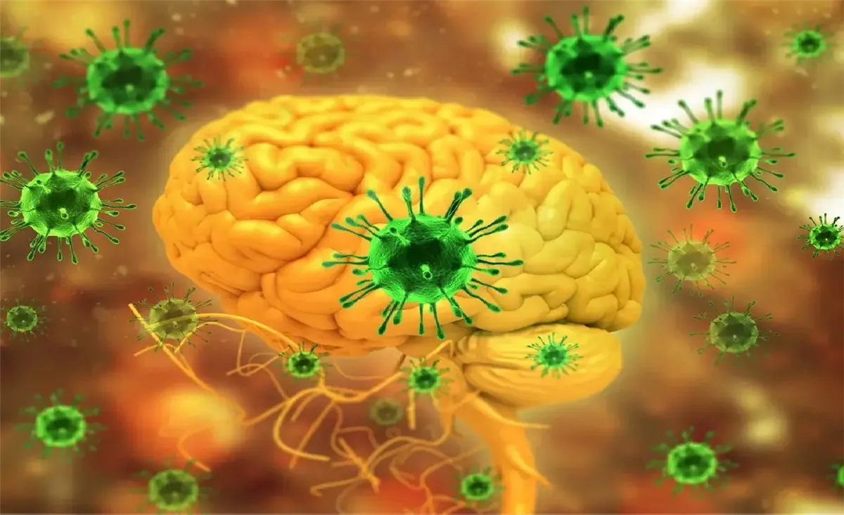 «فيروس نيباه: الأعراض الأسوأ من كوفيد-19 والغياب التام للعلاج»